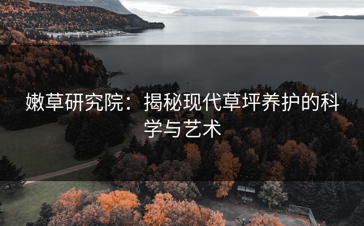 嫩草研究院：揭秘现代草坪养护的科学与艺术