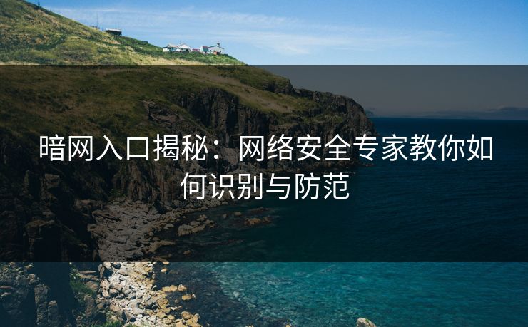 暗网入口揭秘:网络安全专家教你如何识别与防范