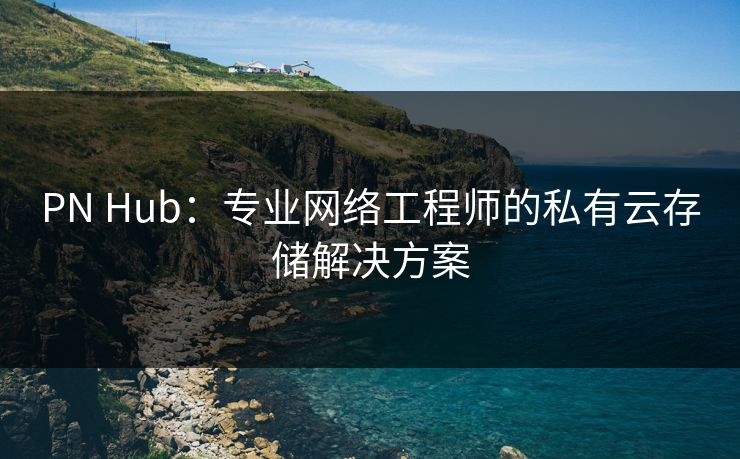 PN Hub：专业网络工程师的私有云存储解决方案