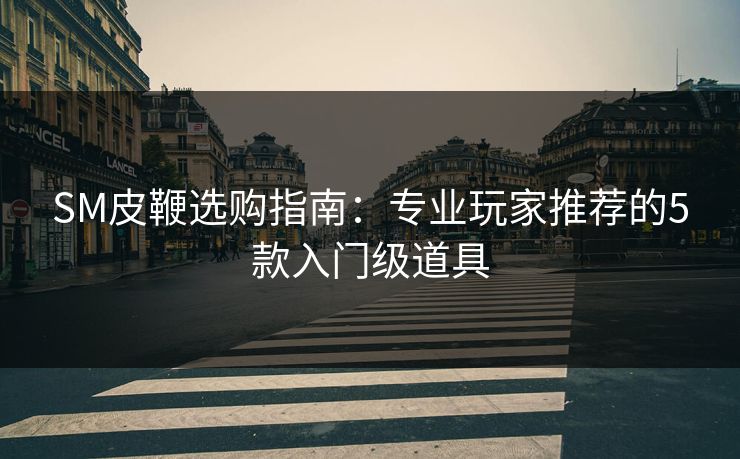 SM皮鞭选购指南:专业玩家推荐的5款入门级道具